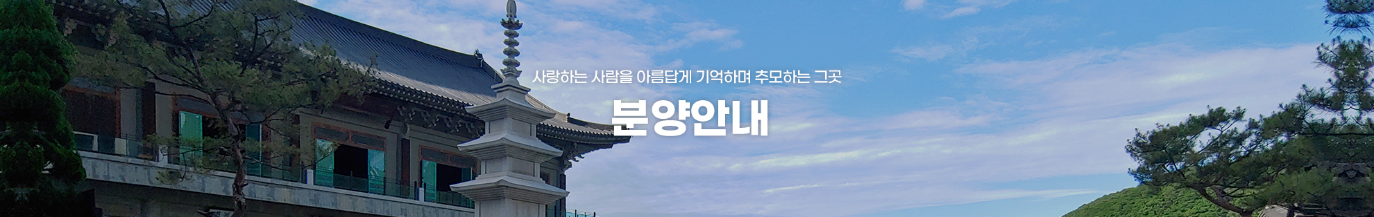 추모목 안내